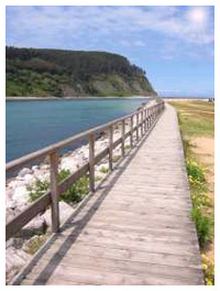 Playa de Rodiles
